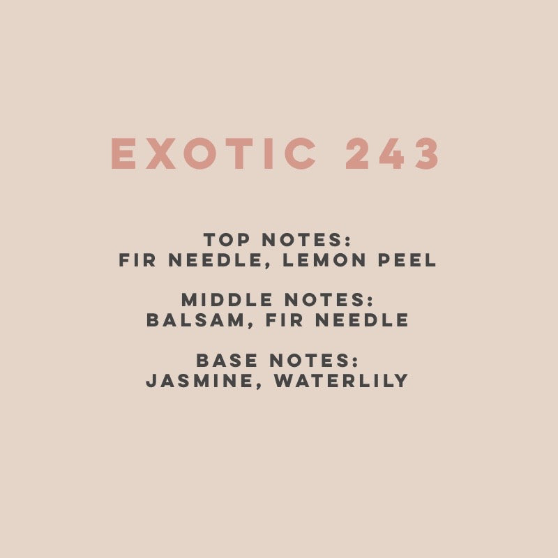 Exotic 243 (100hrs Burn)