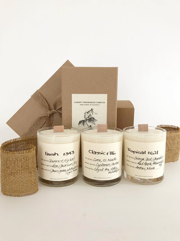 Candles For Less Fragranced Candles - Clean House Value Set 240hrs